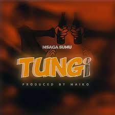 Msaga Sumu – Tungi Mp3 Download Fakaza: