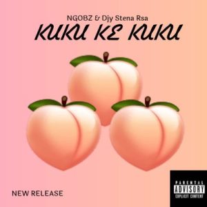 Ngobz & Djy Stena Rsa – Kuku ke Kuku (To Mellow & Sleazy, Myztro, ShaunMusiQ & Ftears) Mp3 Download Fakaza