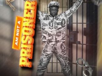 Portable Am Not a Prisoner MP3 Download Fakaza