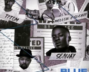 Senjay, Mellow & Sleazy & TitoM – Blue String MP3 Download Fakaza:
