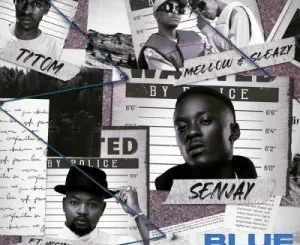 Senjay, Mellow & Sleazy & TitoM – Blue String ft Josiah De Disciple Mp3 Download Fakaza: