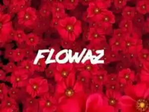 Skillibeng Flowaz Mp3 Download Fakaza