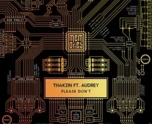Thakzin Please Don’t ft Audrey  Mp3 Download Fakaza: