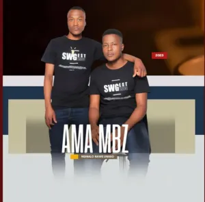 Ama Mbz – Mr top20 Mp3 Download Fakaza