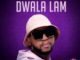 DJ KSB, Charlotte Lyf & Lowsheen – Dwala Lami Mp3 Download Fakaza