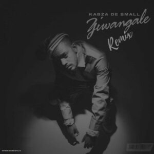 Kabza De Small – Ziwa Ngale (Remix) Mp3 Download Fakaza: