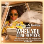 Lapie, Czwe De Ritual & Colbert – When You Gone (Remixes) Album Download Fakaza
