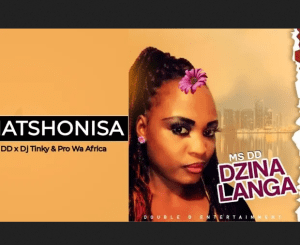Ms DD & DJ Tinky ft Pro Wa Africa – Matshonisa Mp3 Download Fakaza: