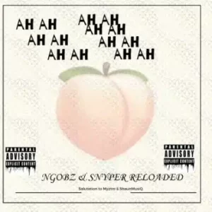 Ngobz & Snyper Reloaded – Ahh Ahh (To Myztro, Xduppy, ShaunMusiQ & Ftears) MP3 Download Fakaza: