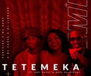 PureVibe, DJ Lindash, Ms Bune & DJ VansS – Tetemeka ft Kay Gee07 & Dess Da Deejay Mp3 Download Fakaza