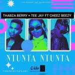 Thabza Berry & Tee Jay – Ntunta Ntunta ft. Cheez Beezy Mp3 Download Fakaza:
