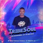 Tribesoul Nkulee501 – China ft. Dj Hugo Log Junior mp3 download zamusic 150x150 1