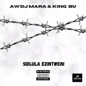 Aw DJ Mara Sidlula Ezintweni Ft. King Bu : 