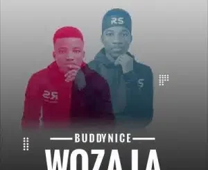 Buddynice – Woza La (Redemial Mix) Mp3 Download fakaza: