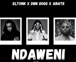 Eltonk, DBN Gogo & Anatii – Ndaweni (Remix) Mp3 Download fakaza: