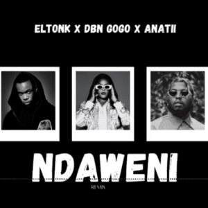 Eltonk, DBN Gogo & Anatii – Ndaweni (Remix) Mp3 Download fakaza:
