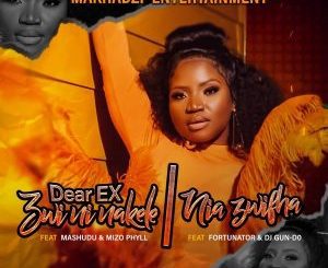 Makhadzi Entertainment ft Fortunator DJ Gun Do SA Niazwifha 300x300 1