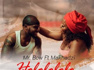 Mr Bow Hololololo Ft. Makhadzi Mp4 Download Fakaza: 