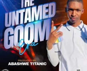 Abashwe Titanic – The Untamed Gqom Era Album Download Fakaza: