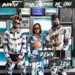 Bantu, Dr. Chaii & Pabi Cooper – Down Low Mp3 Download Fakaza