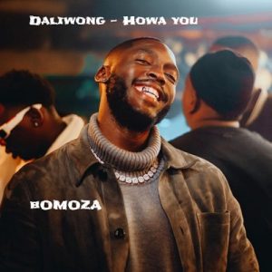 Daliwonga – Hawa You Yu Mp3 Download Fakaza: