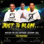 Dj Father, SKiDiM & Zol – Just To Blom #014 Mix Mp3 Download Fakaza: D