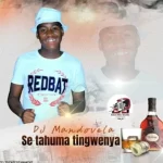 Dj Mandovela – Seta Huma Tingwenya Mp3 Download Fakaza: