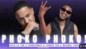 Felo Le Tee X LeeMckrazy X Muziqal tone – Phoko Phoko ! Ft. Thabza Tee Mp3 Download Fakaza:
