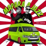 Mapara A Jazz – Wae Roba ft. Pumpkin Mp3 Download Fakaza: