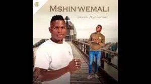 Mshinwemali – Intombi Ayinkw’imali Album Download Fakaza: