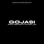 Musical Jazz & Soul Revolver – Gojasi ft Kgocee & Tumelo_ZA Mp3 Download Fakaza: