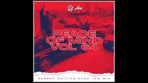 DJ Ace – Peace of Mind Vol 64 Sunday Chillas Slow Jam Mix Mp3 Download Fakaza: