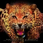 G-Wash10 & Dj Jim Mastershine – In the Jungle (Extended Version) Mp3 Download Fakaza: