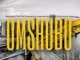 va The Dominator, Heartless Boyz MusiQ & BenZeero – ‎Umshubo ft.