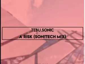 Tebu.Sonic – A Risk (Sonitech Mix) Mp3 Download Fakaza: