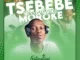 Tsebebe Moroke – Electro (Dub Mix) Mp3 Download Fakaza: T