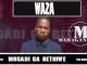 Waza – Mosadi Ga Bethiwe Mp3 Download Fakaza:
