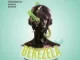 Yaw Appiah – Bekezela (Vasilis Remix) Ft. Zizo Mp3 Download Fakaza:
