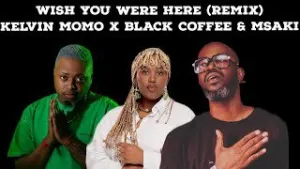 Kelvin Momo & Black Coffee – Wish You Were Here (Remix) Ft Msaki Mp3 Download Fakaza: