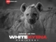 InQfive & Dr Feel – White Hyena (Thab De Soul Remix) Mp3 Download Fakaza: