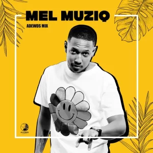 Mel Muziq – Adewds Mix Mp3 Download Fakaza: