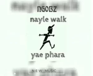 Ngobz – Nayle Walk Revisit (To Tyler Icu, Nandipha 808 & Ceeka) ft Snyper Reloaded, Youngmusiq & Sthipla Rsa Mp3 Download Fakaza: