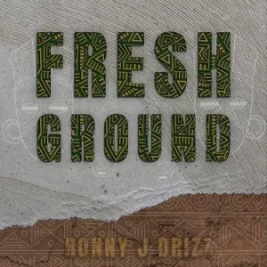 Ronny J Drizz – Umshiso ft Q-Mark, Slenda Dee & Konkesinamile Mp3 Download Fakaza: