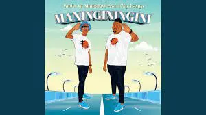 Vanhu Va MtakaRoW – Maninginingini Ft. King Tsonga Mp3 Download Fakaza: