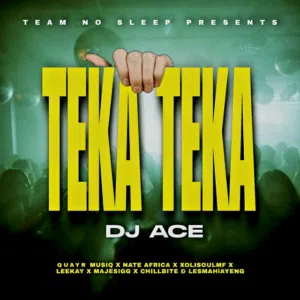 DJ Ace – Teka Teka ft. QuayR Musiq, Nate Africa, XolisoulMF, Leekay, Majestigg, Chillibite & Lesmahlanyeng Mp3 Download Fakaza