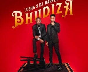 DJ Harvey & Lusha – Bhudiza ft TA MusiQ, Citykingrsa, JFS Music, Blvcknavy & Deeray Mp3 Download Fakaza: