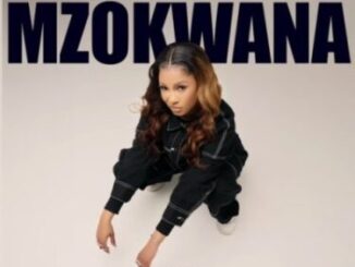 DJ Tshegu ft Sims Noreng – Mzokwana Mp3 Download Fakaza:  