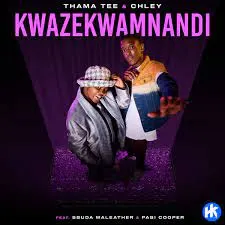 Thama Tee & Chley – Kwazekwamnadi ft. Sbuda Maleather & Pabi Cooper Mp3 Download Fakaza: