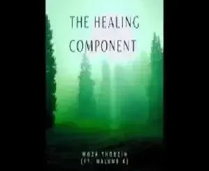 Woza Thobzin – The Healing Component ft. Malume K Mp3 Download Fakaza: