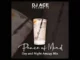 DJ Ace – Peace of Mind Vol 72 Day & Night Ama45 Mix Mp3 Download Fakaza: